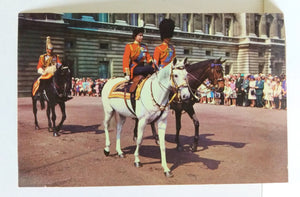 The Queen And Prince Philip On Horseback Postcard 1960's - TulipStuff