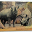 Rhinoceros Exhibit In Zoological Park Detroit Michigan Linen Postcard 1940's - TulipStuff