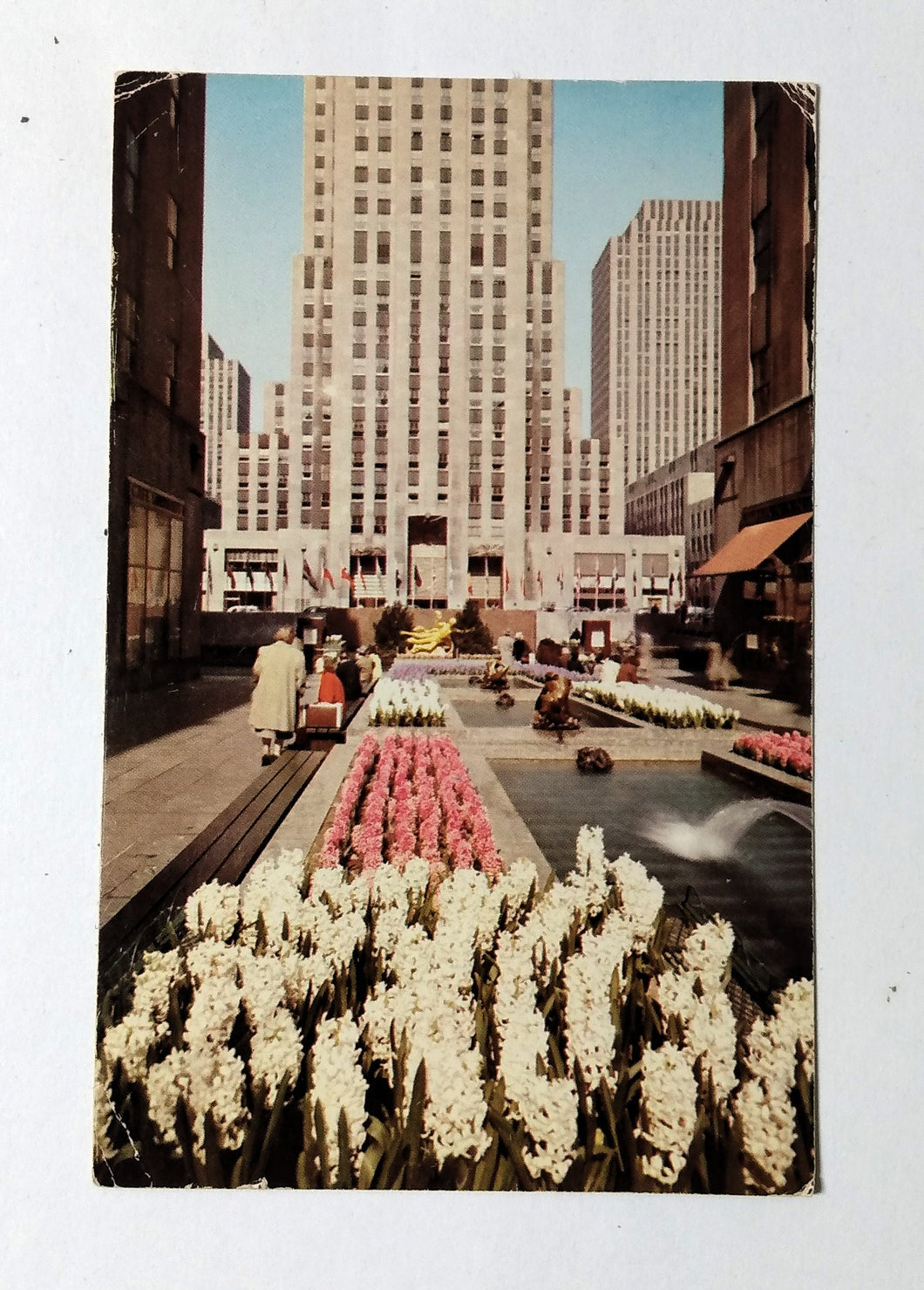 Rockefeller Center Garden Plaza RCA Building New York City 1959 Postcard - TulipStuff