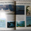 Royal Caribbean 1982-83 Brochure Sun Viking Nordic Prince Song of Norway Song of America - TulipStuff