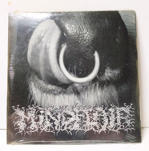 Running Guts / Mindflair French / German Grindcore Bones Brigade CD 1999 - TulipStuff