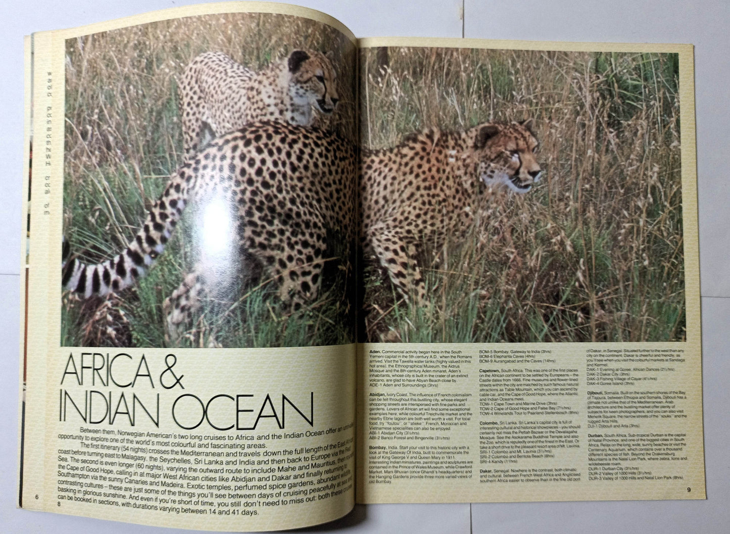 Norwegian America Sagafjord Vistafjord 5 Star Cruises 1982-83 Brochure - TulipStuff