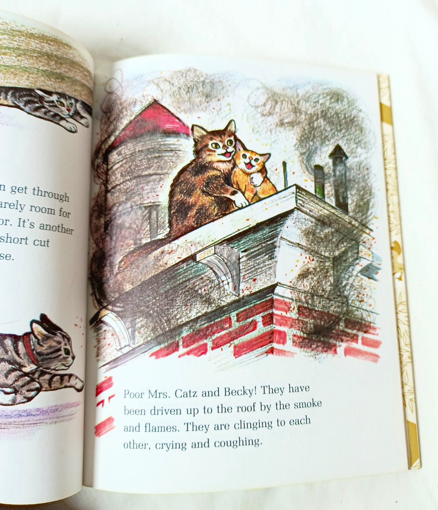 Sam The Firehouse Cat Little Golden Book Virginia Parsons 1971 - TulipStuff