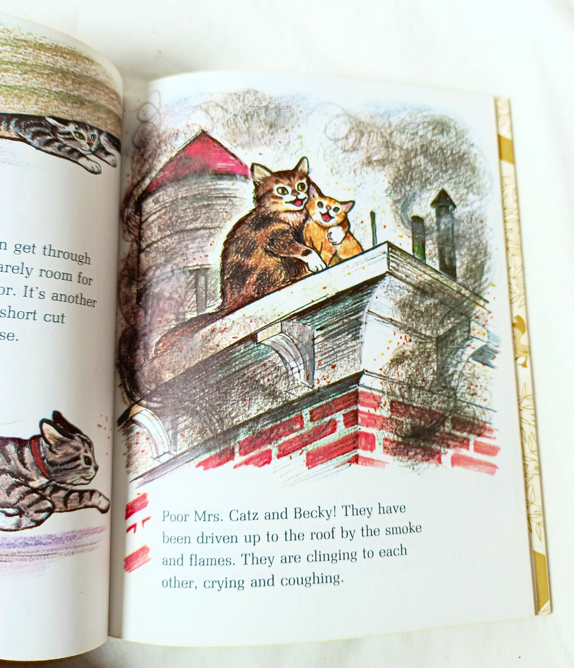 Sam The Firehouse Cat Little Golden Book Virginia Parsons 1971 - TulipStuff