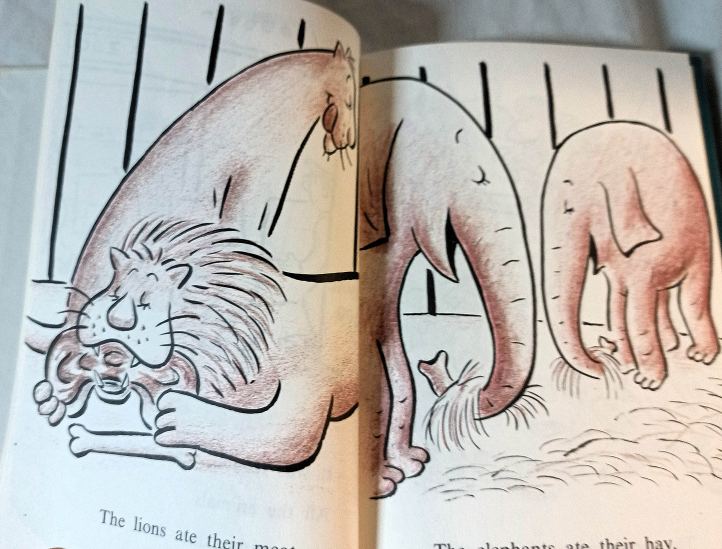 Sammy The Seal Syd Hoff (I Can Read) Hardcover First Edition 1959 - TulipStuff