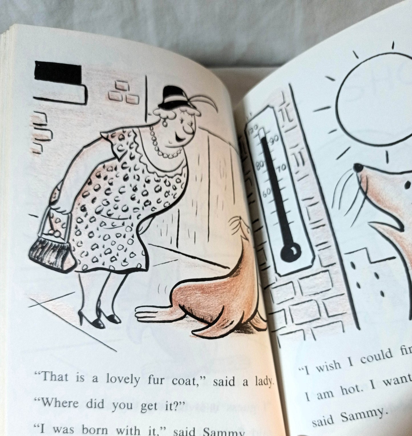 Sammy The Seal Syd Hoff (I Can Read) Hardcover First Edition 1959 - TulipStuff