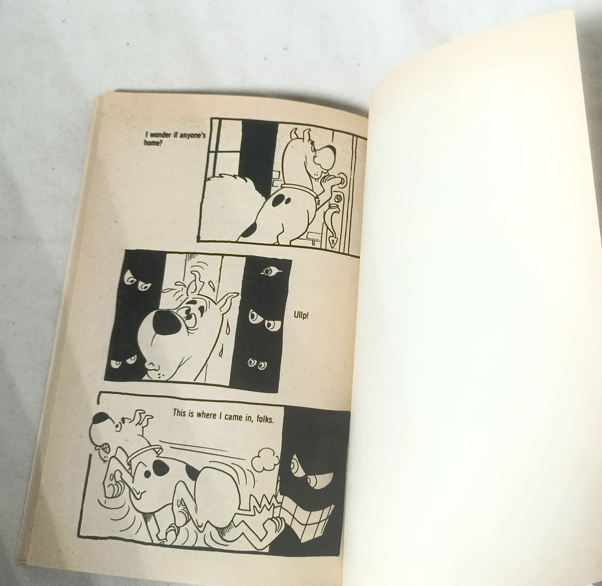 Hanna Barbera's Scooby Doo Where Are You Paperback 1976 - TulipStuff