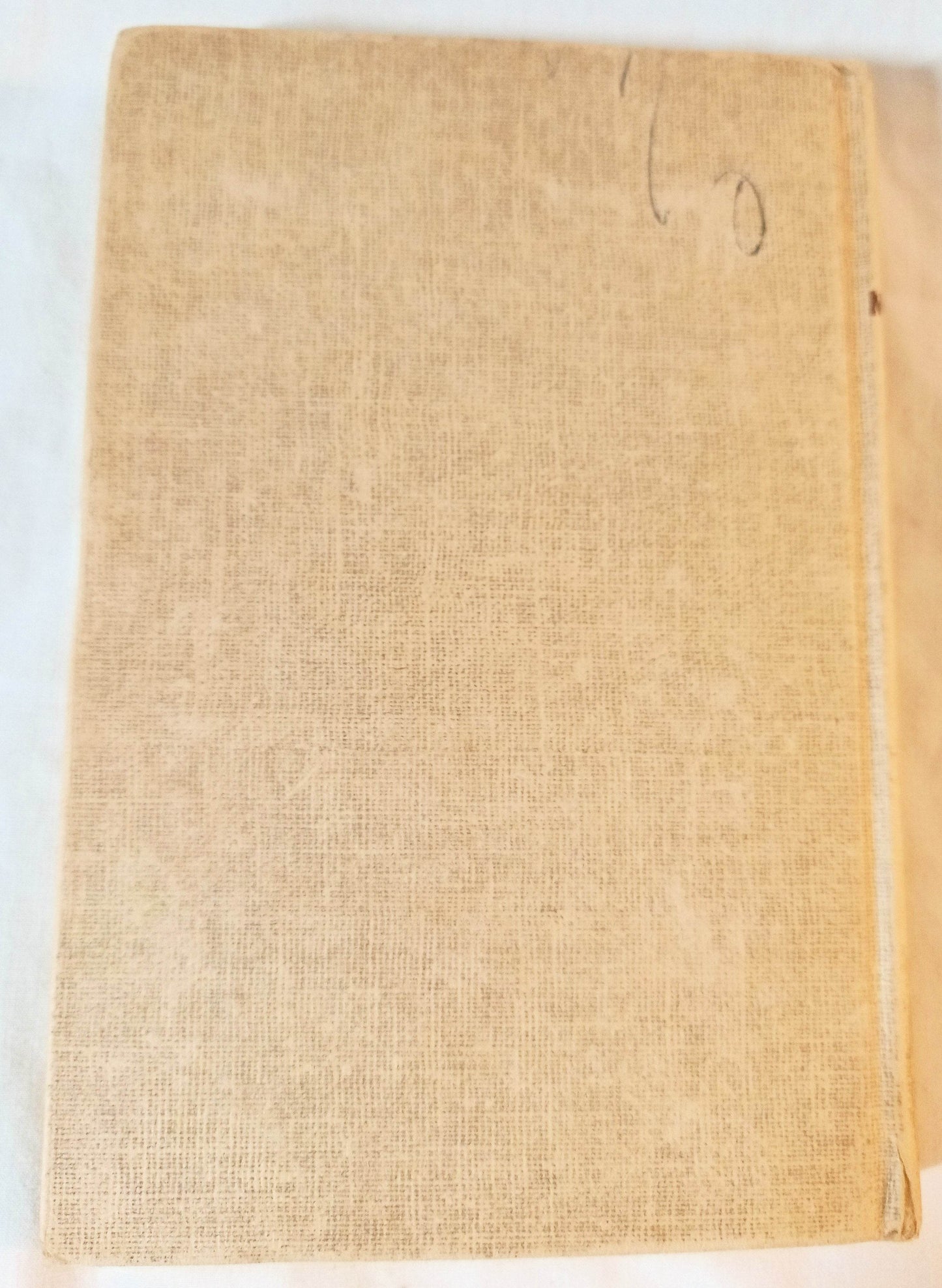 The Hardy Boys The Secret Of Skull Mountain Franklin W Dixon 1957 - TulipStuff