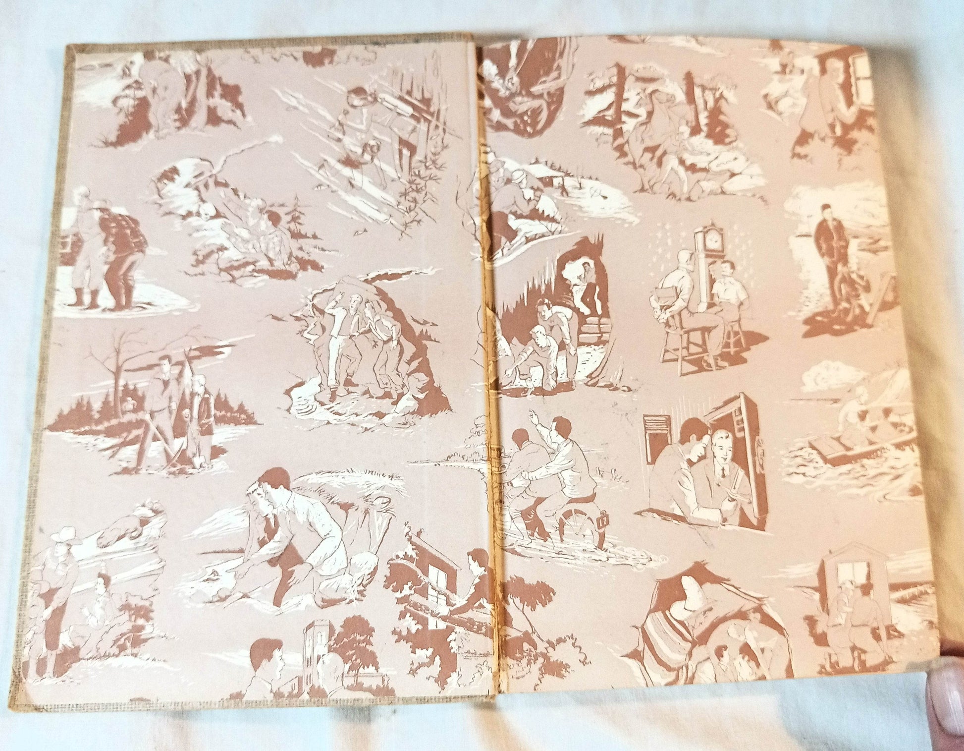 The Hardy Boys The Secret Of Skull Mountain Franklin W Dixon 1957 - TulipStuff