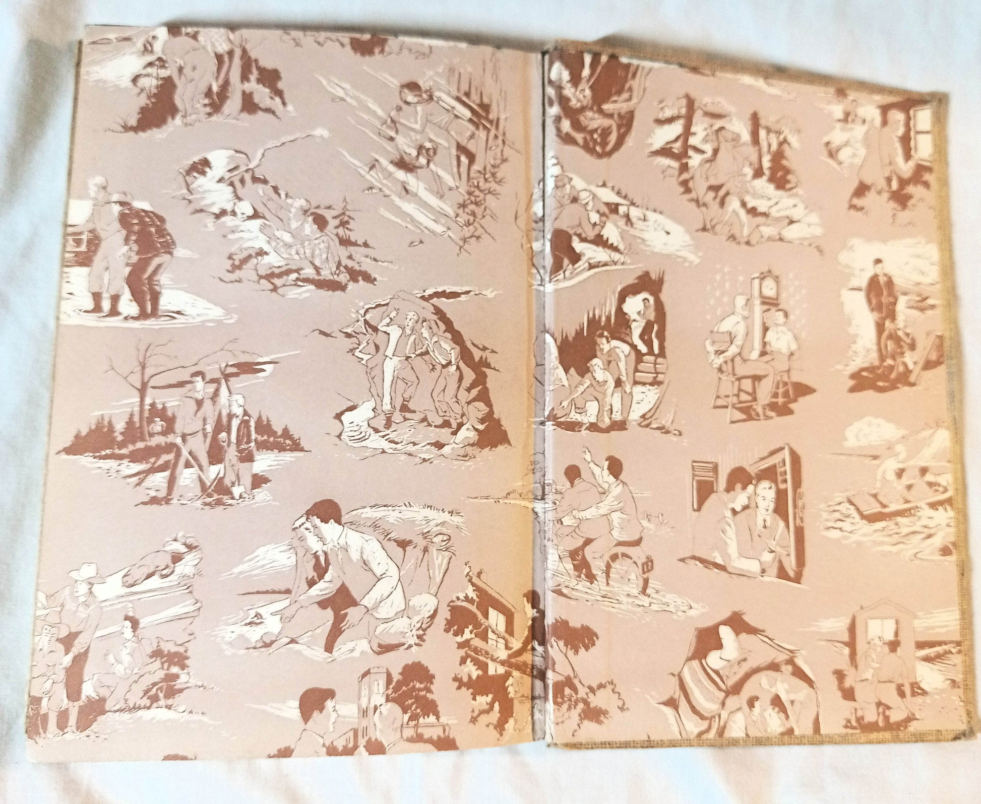 The Hardy Boys The Secret Of Skull Mountain Franklin W Dixon 1957 - TulipStuff