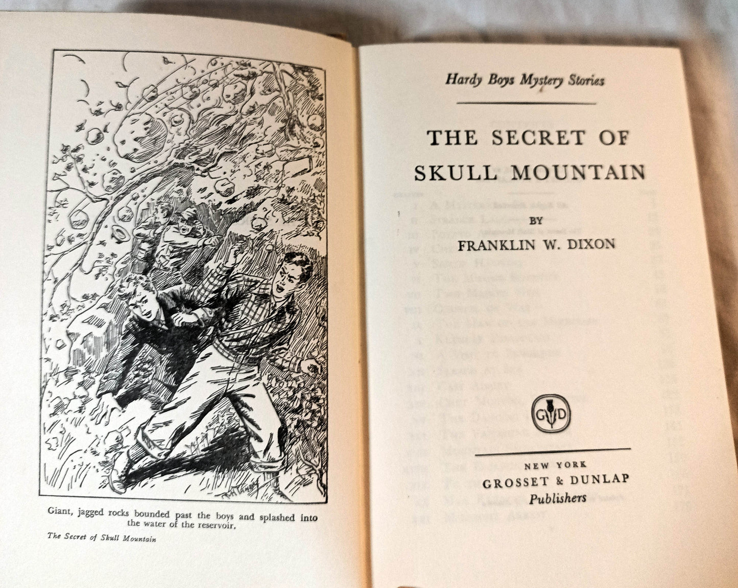 The Hardy Boys The Secret Of Skull Mountain Franklin W Dixon 1957 - TulipStuff