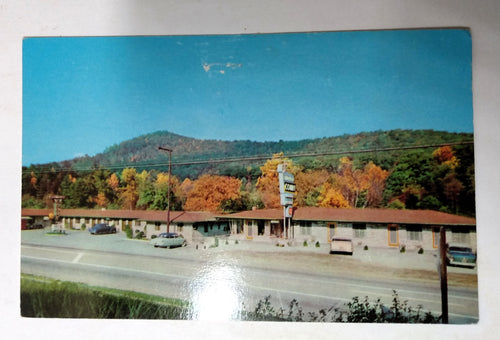 Shamrock Court Motel Asheville North Carolina Postcard 1950's - TulipStuff