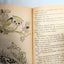 Shari Lewis Stories To Read Aloud Wonder Books 1961 - TulipStuff