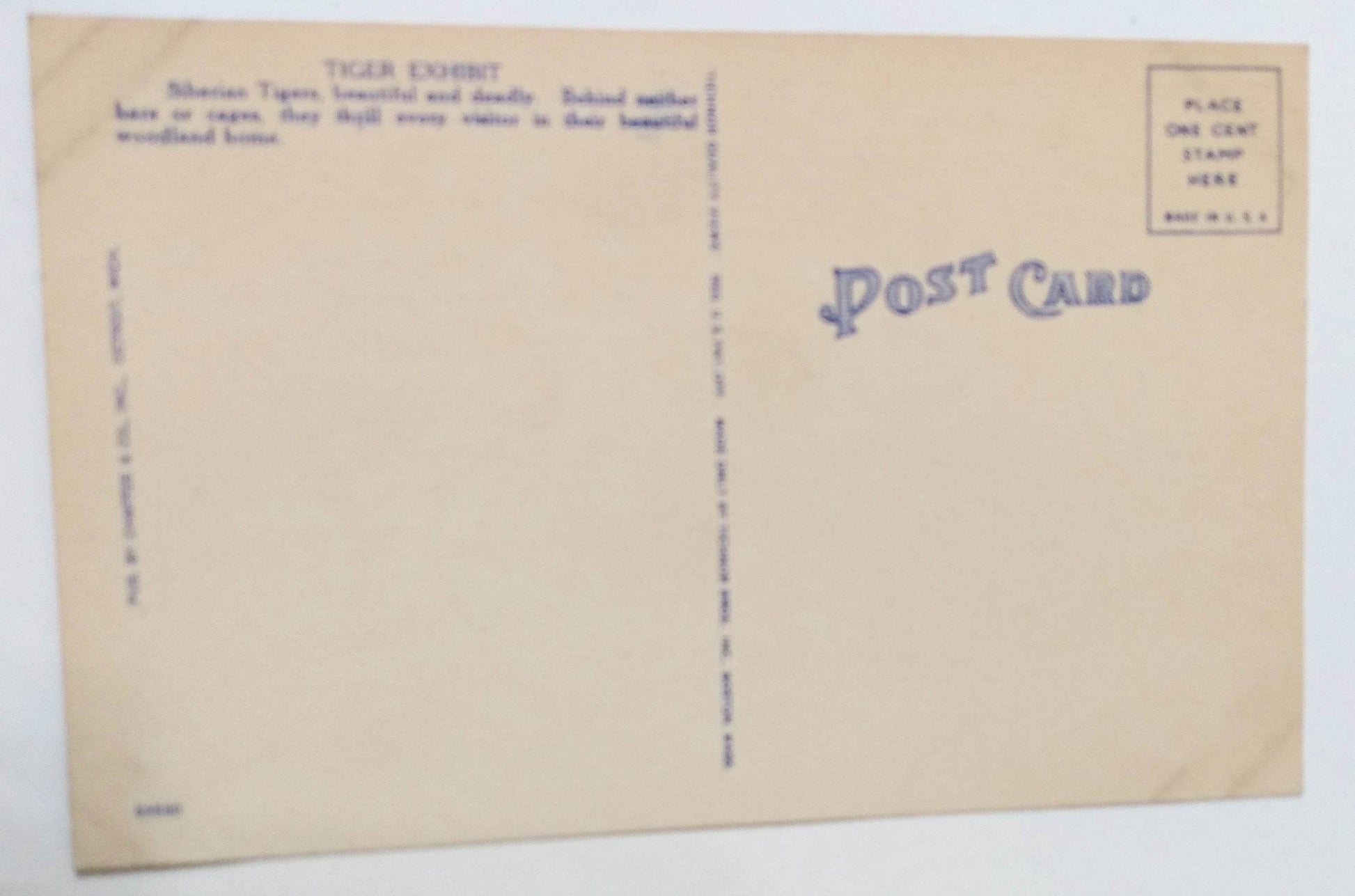 Siberian Tigers In Zoological Park Detroit Michigan Linen Postcard 1940's - TulipStuff