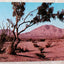 Sierra Blanca Mountain Desert Landscape Texas 1950s Postcard - TulipStuff