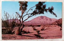 Load image into Gallery viewer, Sierra Blanca Mountain Desert Landscape Texas 1950s Postcard - TulipStuff
