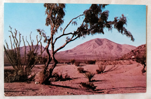 Sierra Blanca Mountain Desert Landscape Texas 1950s Postcard - TulipStuff