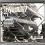 Sly Boogy Fatal Mistake / Walk With My Dogs Hip Hop CD 2002 - TulipStuff