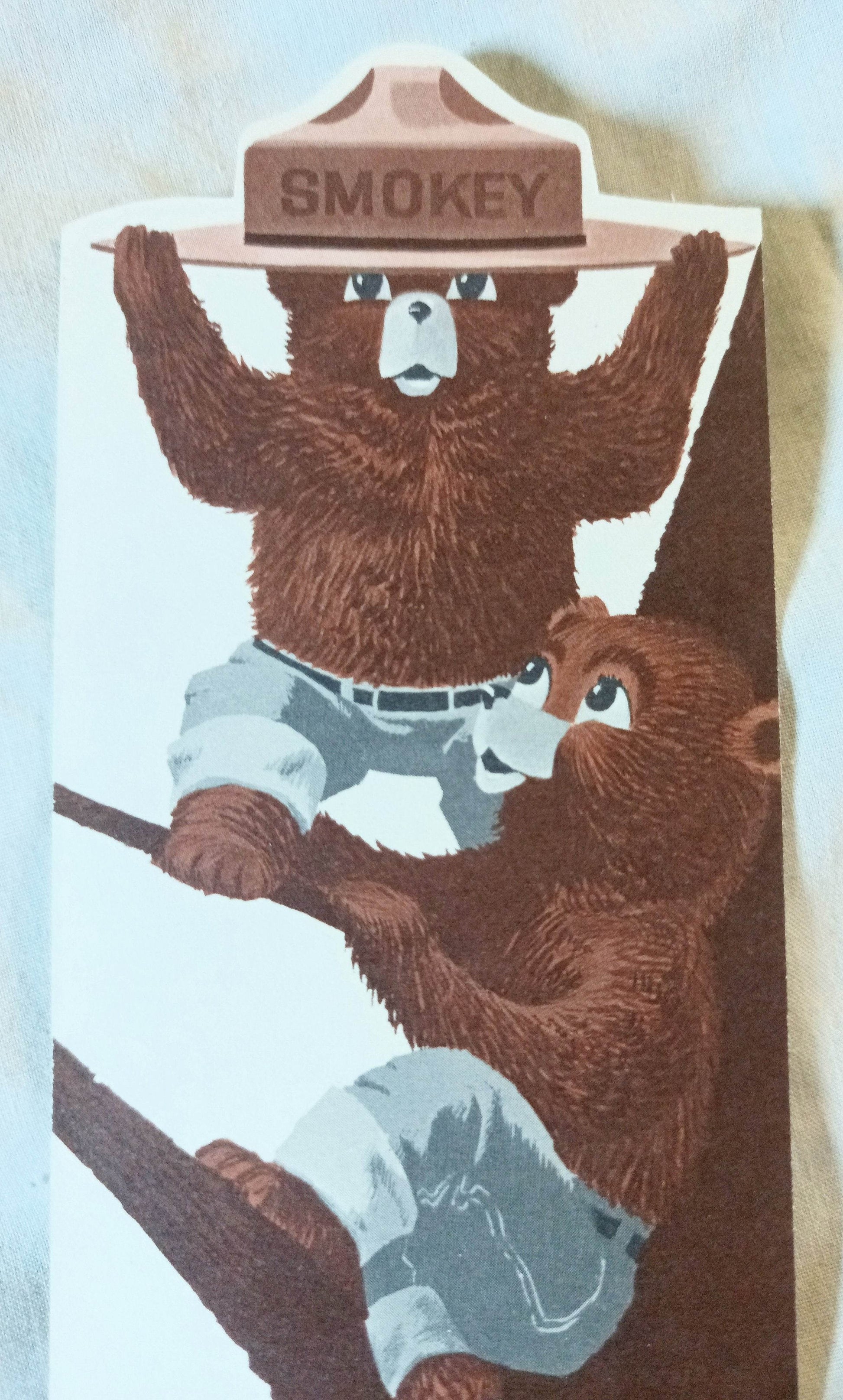 Smokey The Bear Cubs Prevent Forest Fires Bookmark Ruler 1964 - TulipStuff