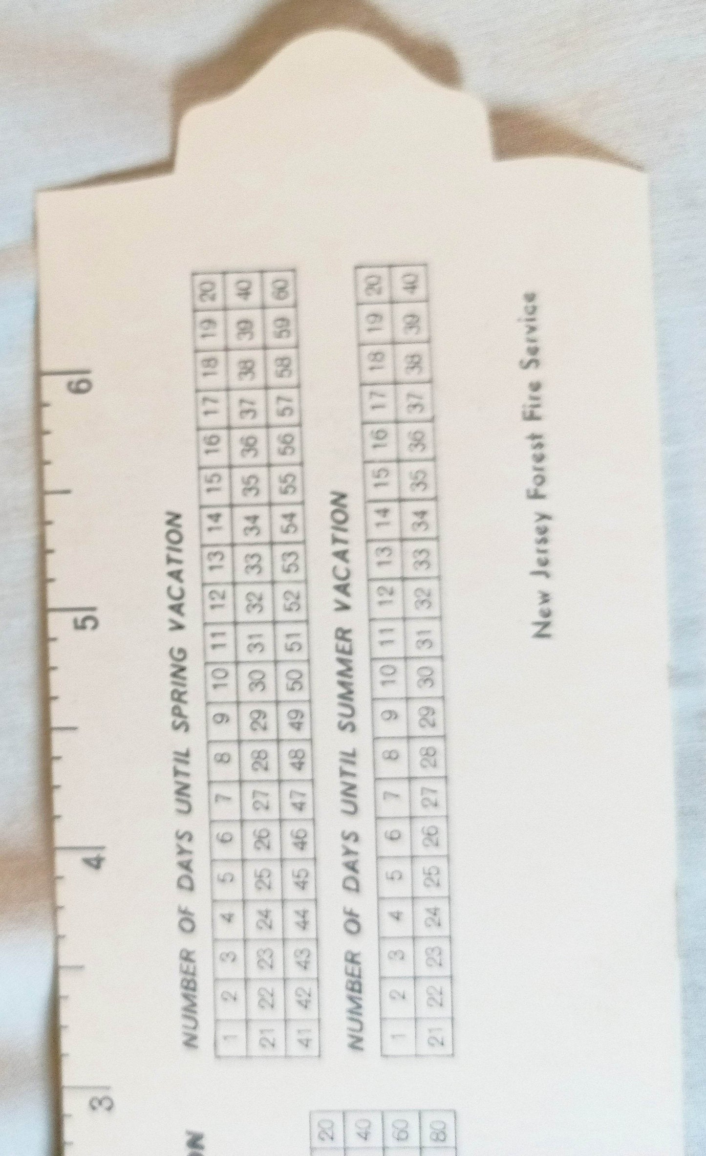 Smokey The Bear Cubs Prevent Forest Fires Bookmark Ruler 1964 - TulipStuff