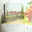 Smokey The Bear Little Golden Book Richard Scarry Jane Werner 1968 - TulipStuff