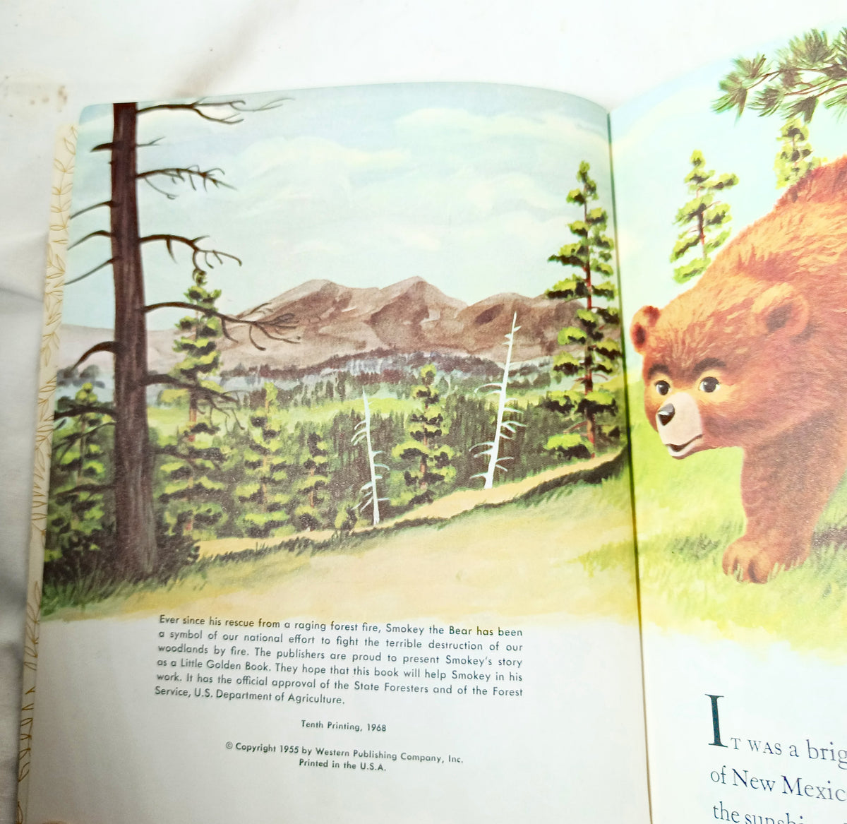 Smokey The Bear Little Golden Book Richard Scarry Jane Werner 1968 - TulipStuff