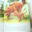 Smokey The Bear Little Golden Book Richard Scarry Jane Werner 1968 - TulipStuff