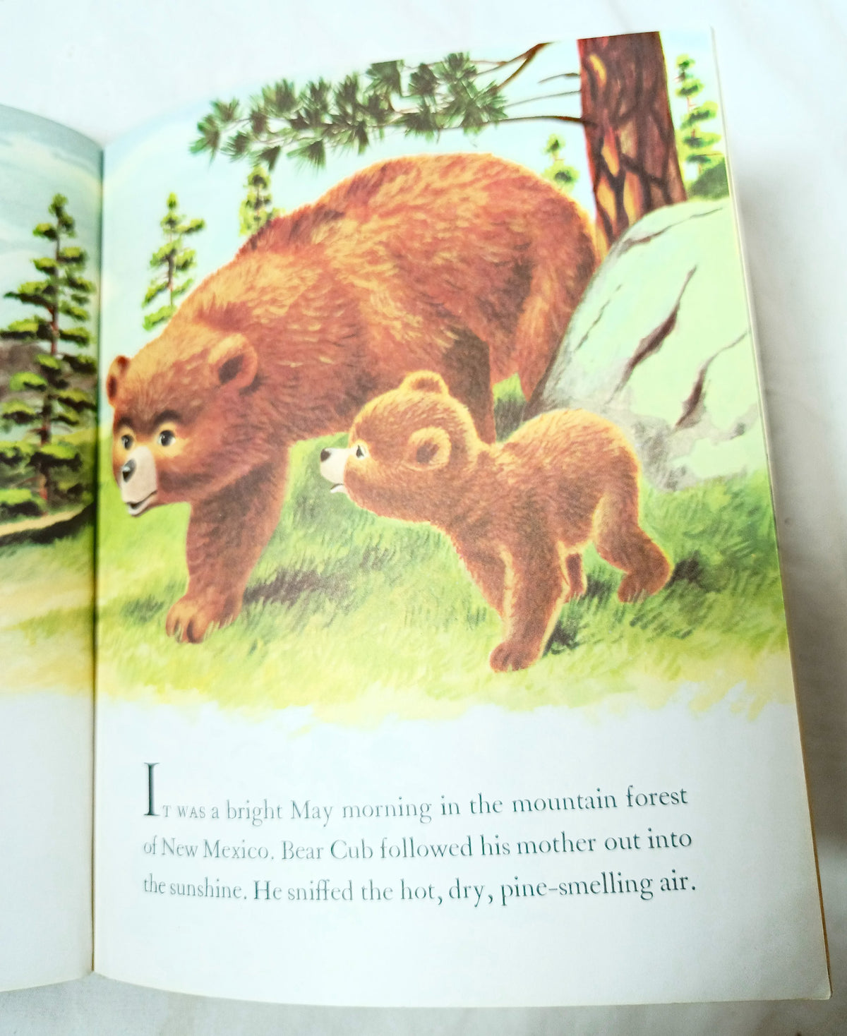 Smokey The Bear Little Golden Book Richard Scarry Jane Werner 1968 - TulipStuff