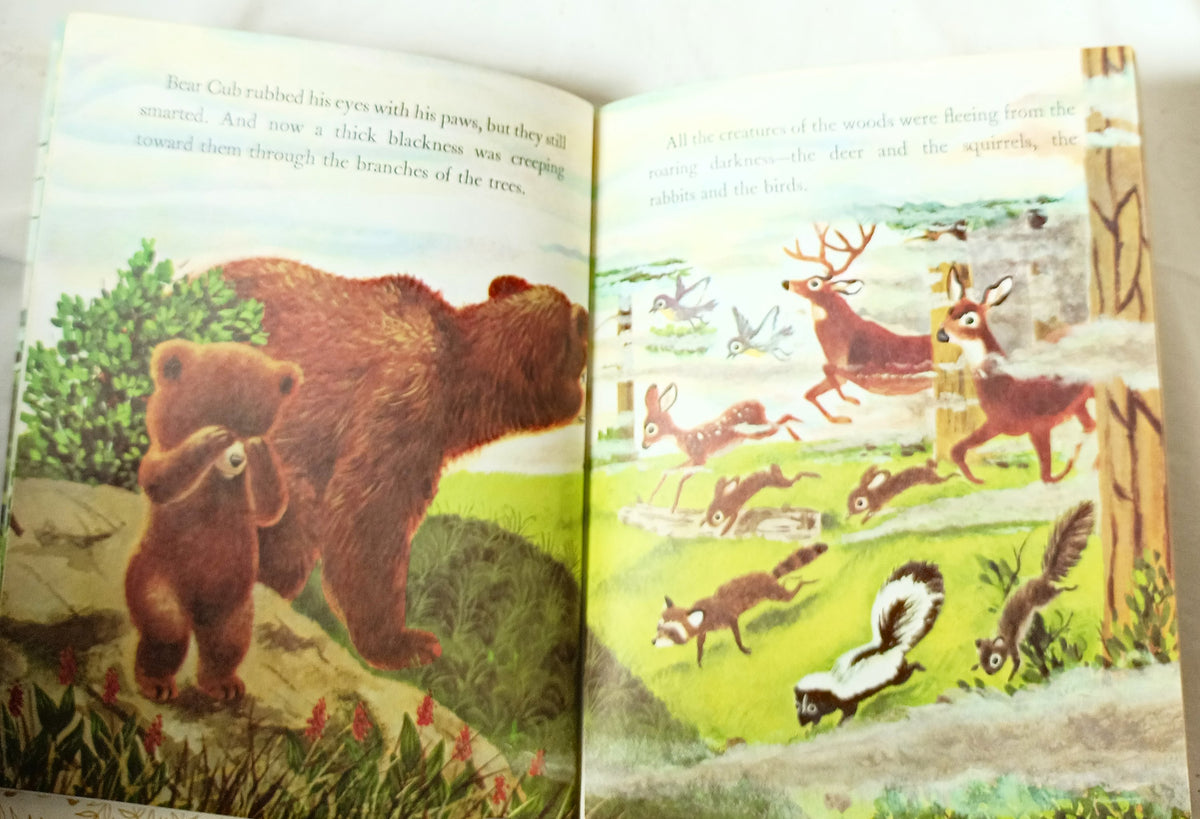 Smokey The Bear Little Golden Book Richard Scarry Jane Werner 1968 - TulipStuff