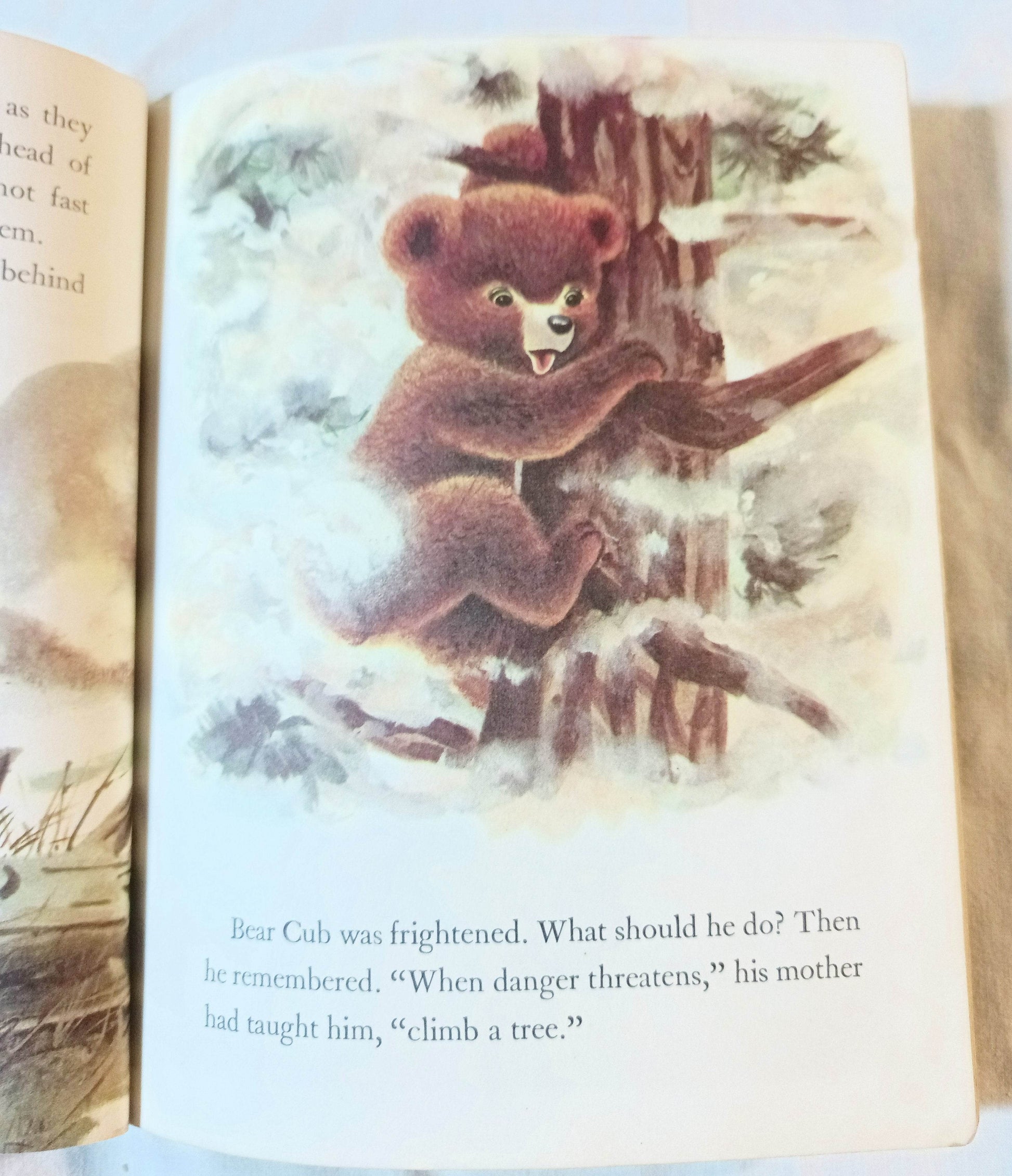 Smokey The Bear Little Golden Book Richard Scarry Jane Werner 1960's - TulipStuff