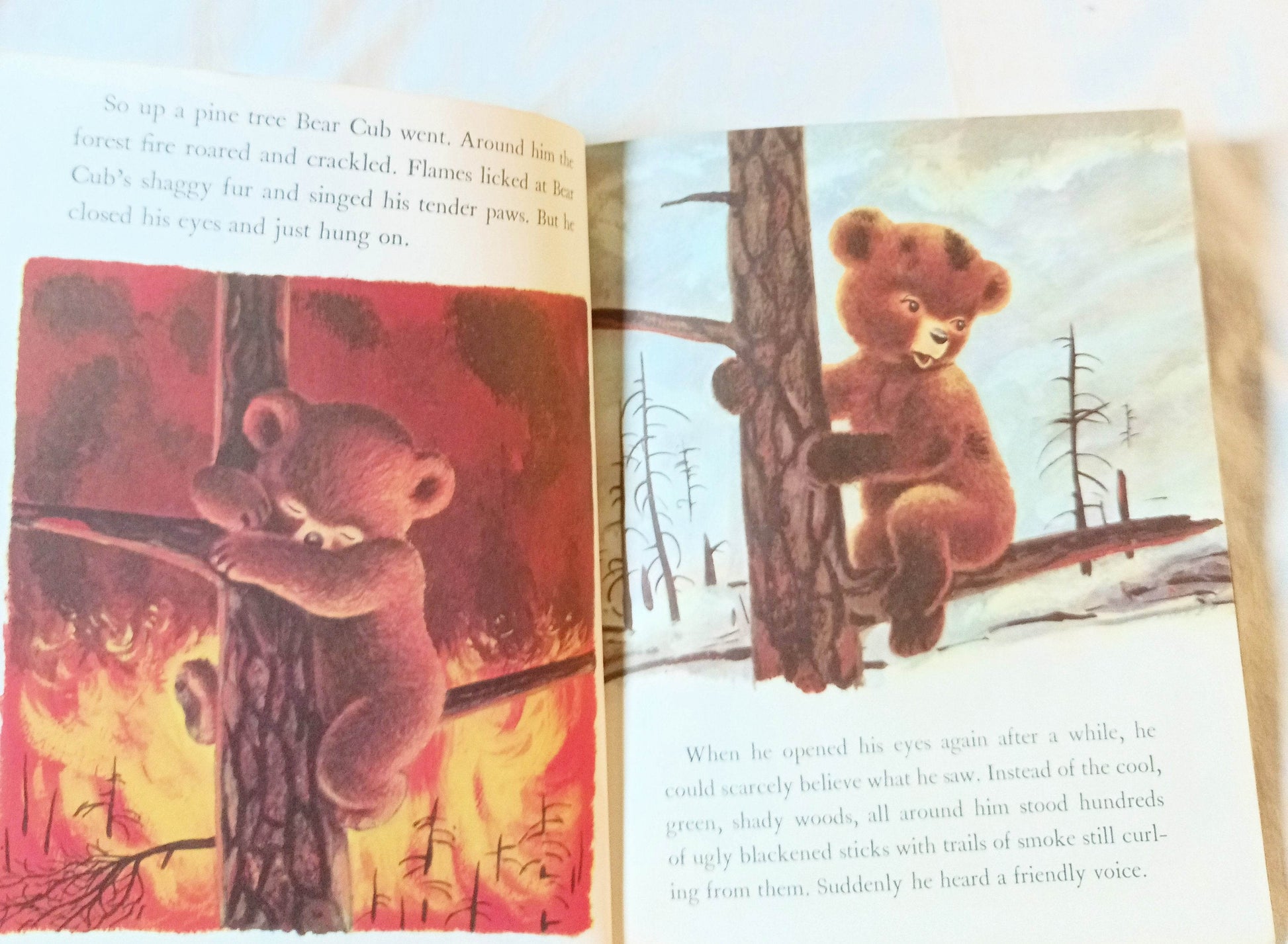 Smokey The Bear Little Golden Book Richard Scarry Jane Werner 1960's - TulipStuff