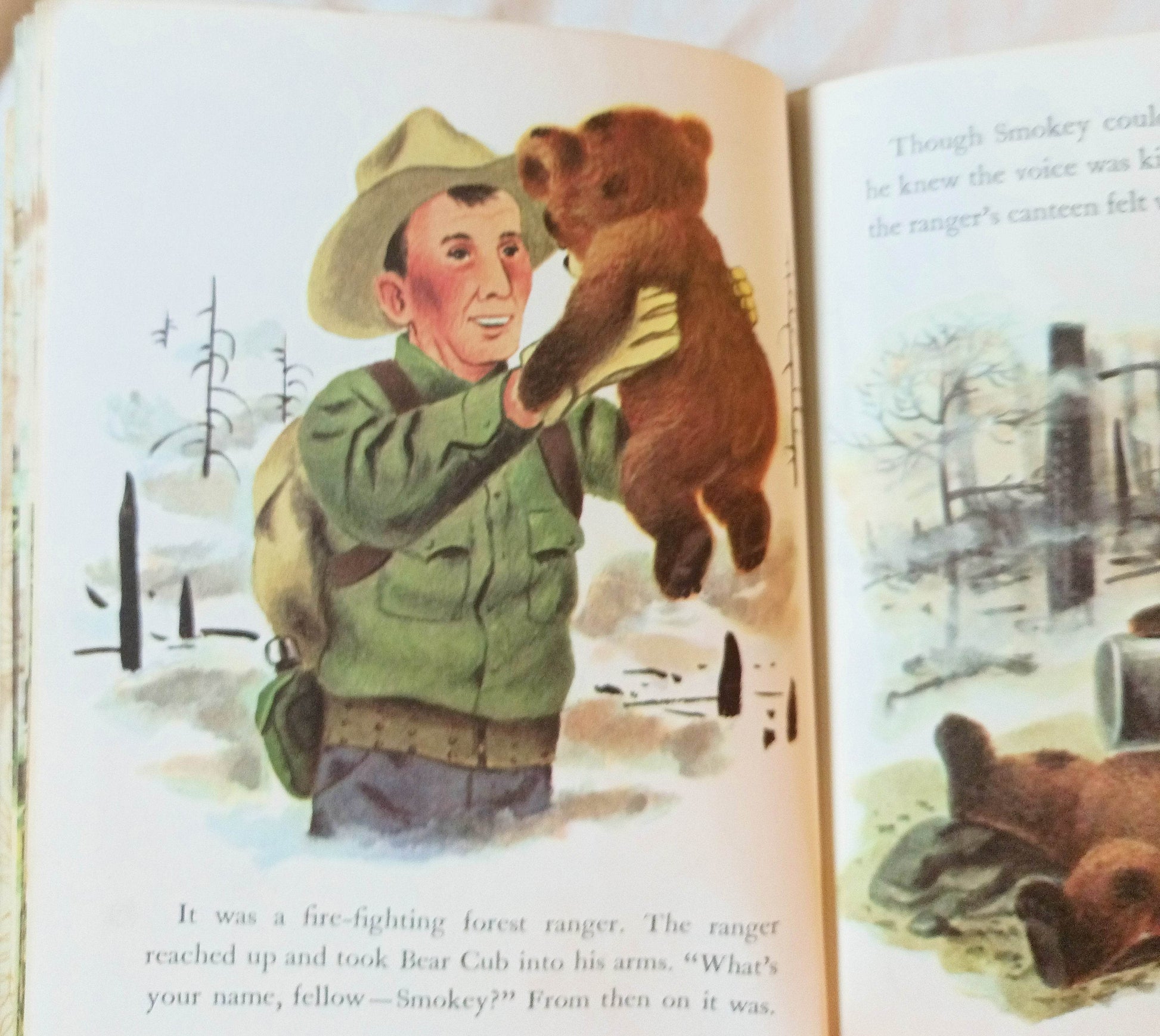 Smokey The Bear Little Golden Book Richard Scarry Jane Werner 1960's - TulipStuff