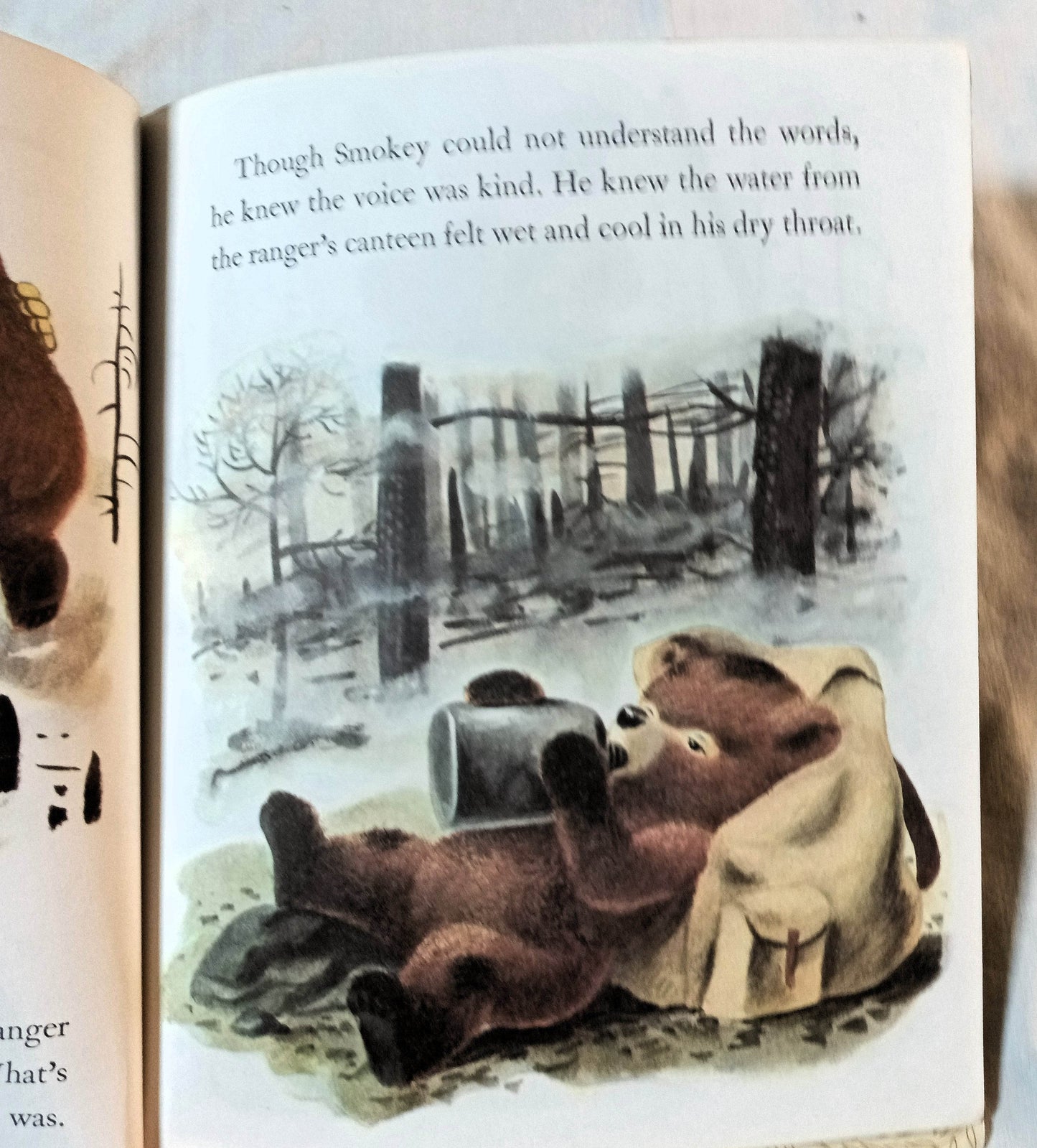 Smokey The Bear Little Golden Book Richard Scarry Jane Werner 1960's - TulipStuff