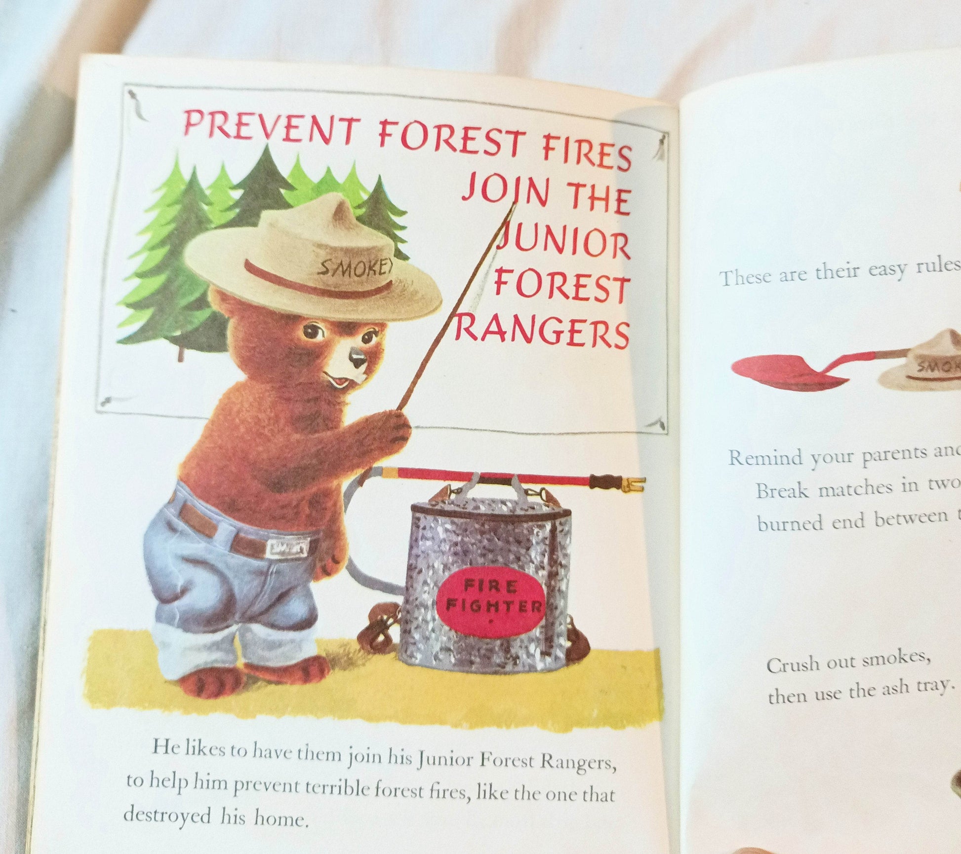 Smokey The Bear Little Golden Book Richard Scarry Jane Werner 1960's - TulipStuff
