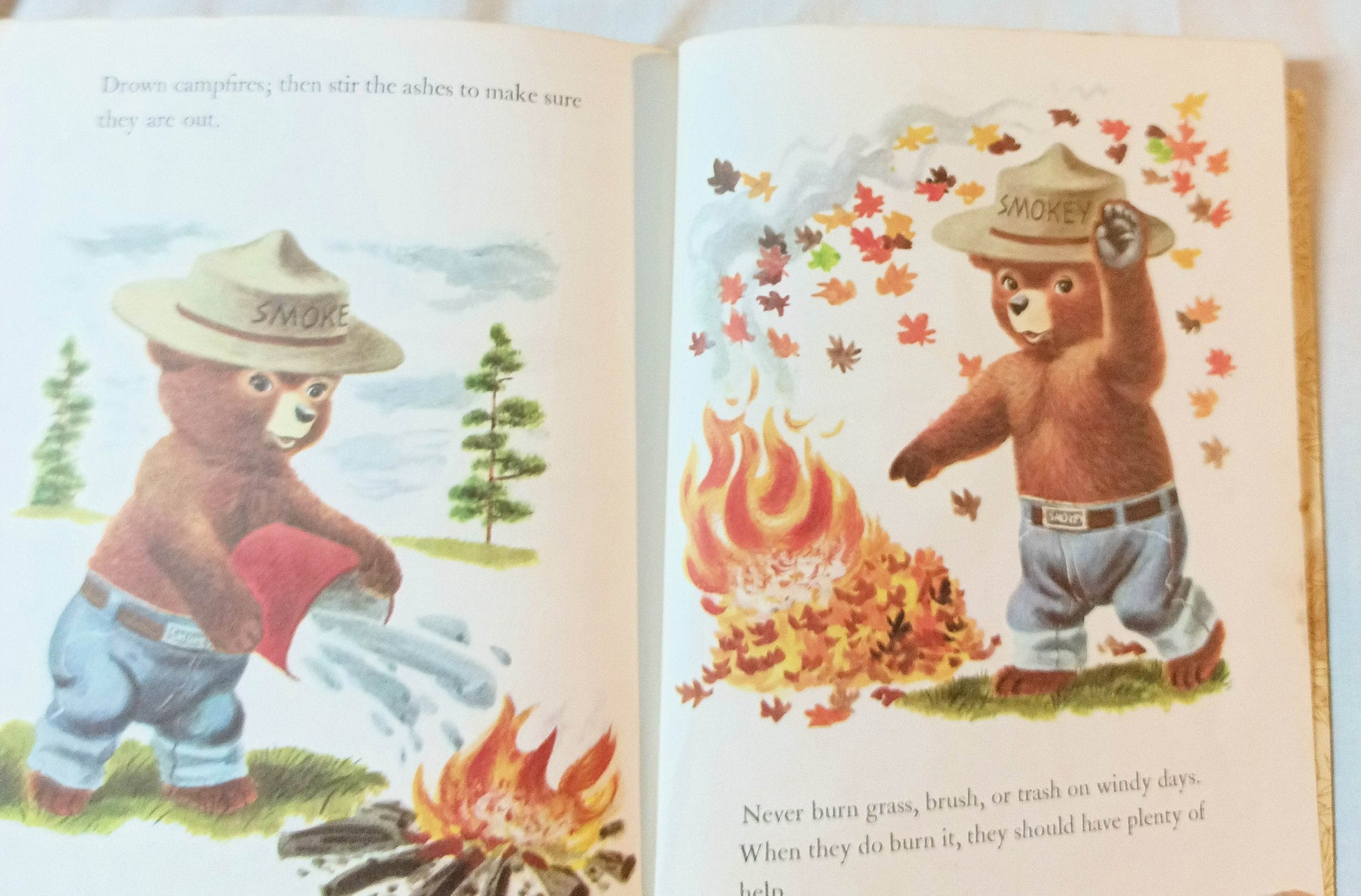 Smokey The Bear Little Golden Book Richard Scarry Jane Werner 1960's - TulipStuff