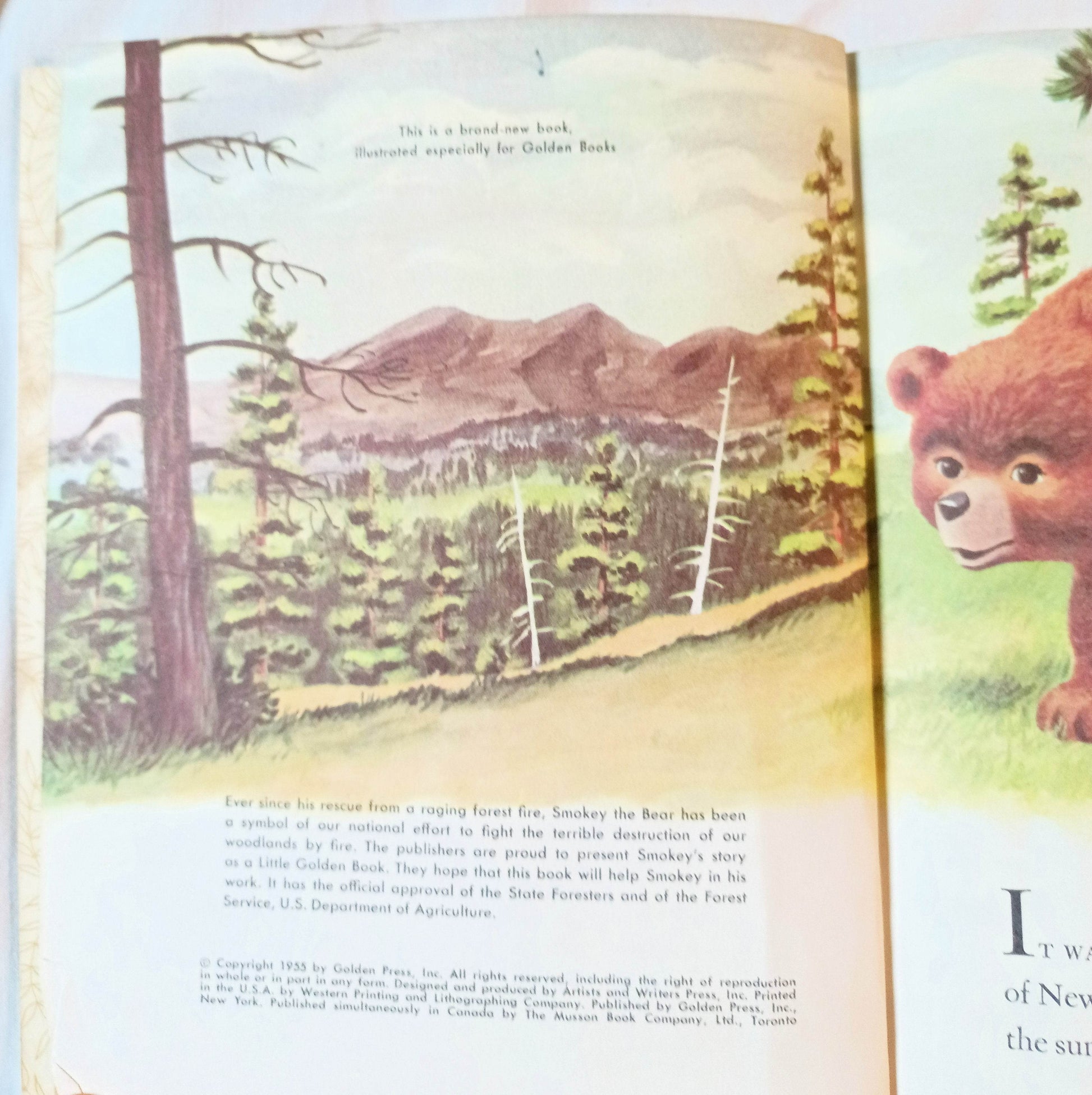 Smokey The Bear Little Golden Book Richard Scarry Jane Werner 1960's - TulipStuff