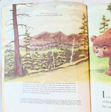 Load image into Gallery viewer, Smokey The Bear Little Golden Book Richard Scarry Jane Werner 1960&#39;s - TulipStuff
