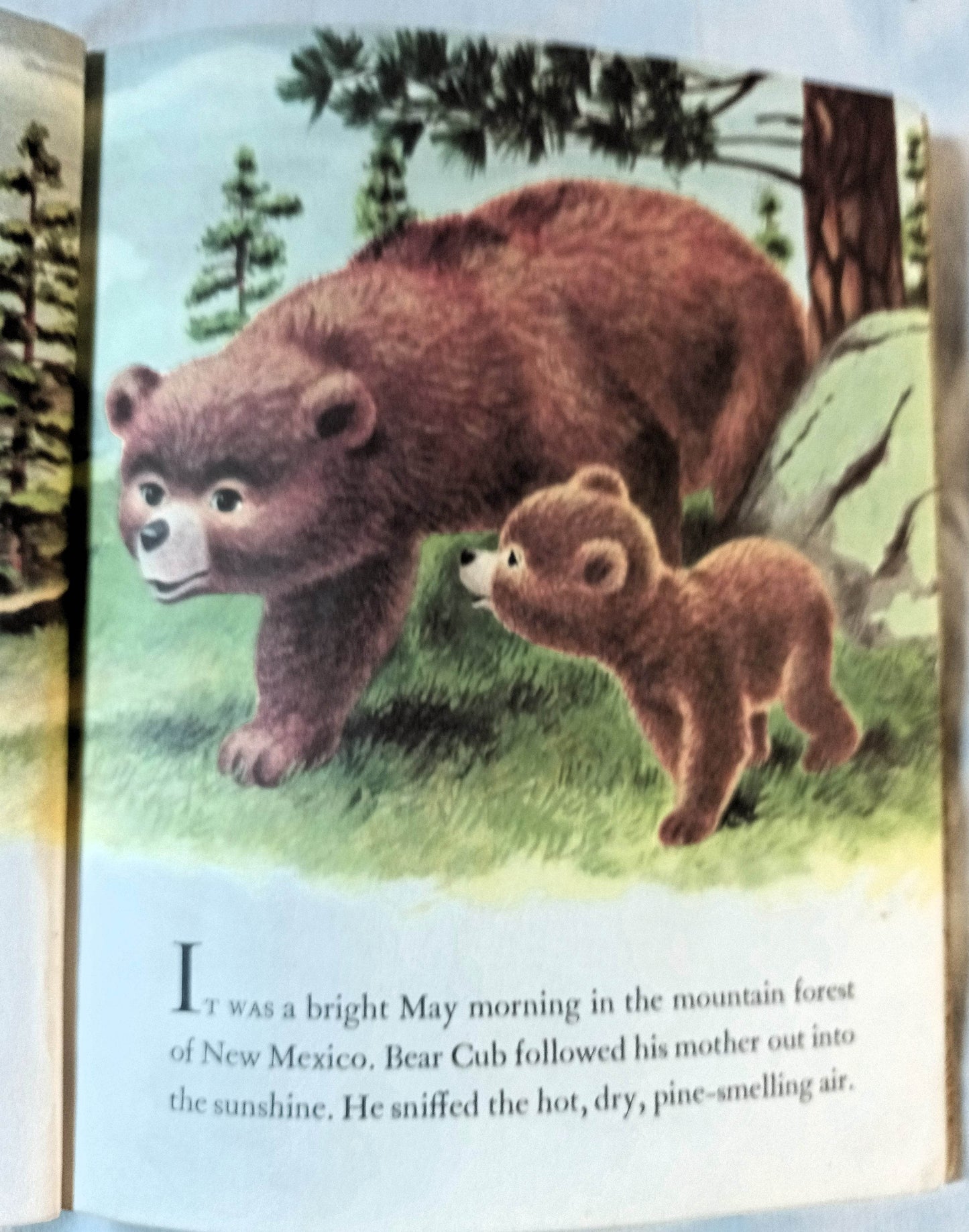 Smokey The Bear Little Golden Book Richard Scarry Jane Werner 1960's - TulipStuff
