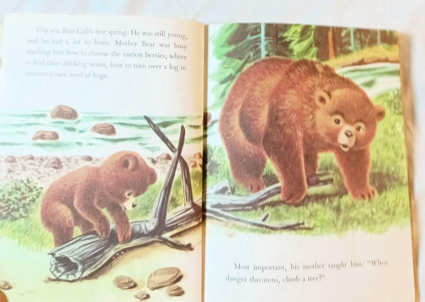 Smokey The Bear Little Golden Book Richard Scarry Jane Werner 1960's - TulipStuff