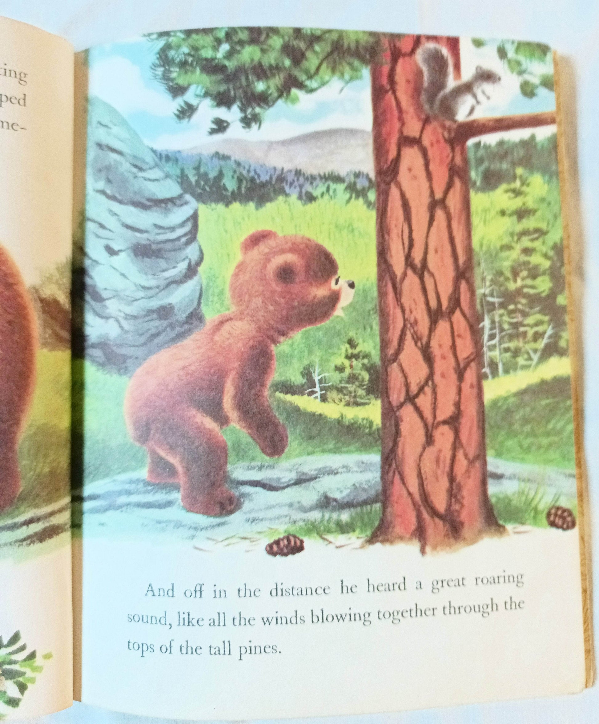 Smokey The Bear Little Golden Book Richard Scarry Jane Werner 1960's - TulipStuff