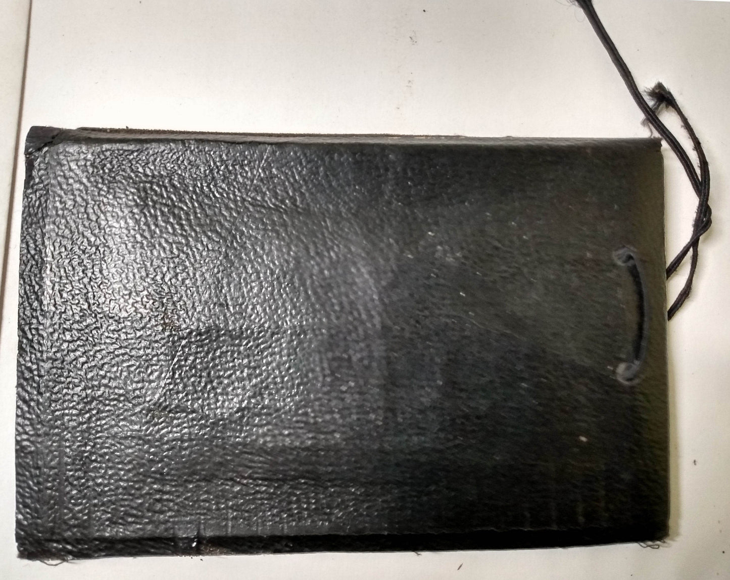 Snapshots Canada Photo Album Leather Hand Painted 1930's - TulipStuff