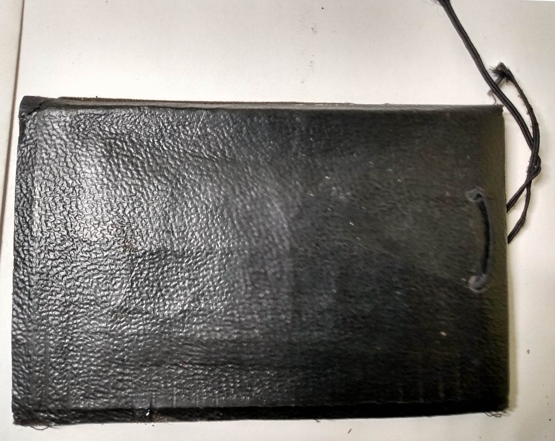 Snapshots Canada Photo Album Leather Hand Painted 1930's - TulipStuff