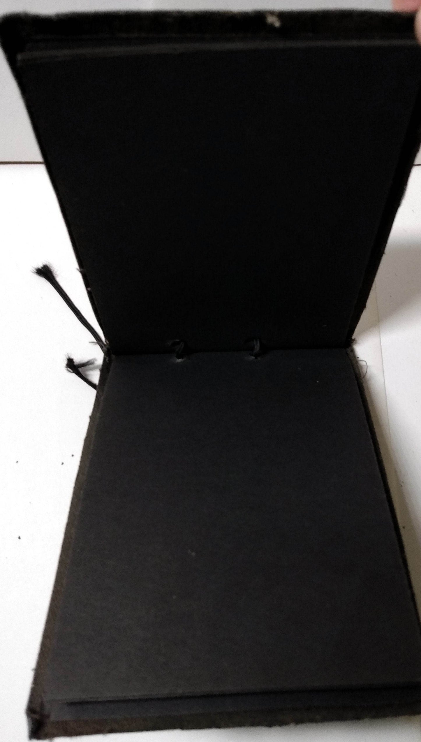 Snapshots Canada Photo Album Leather Hand Painted 1930's - TulipStuff