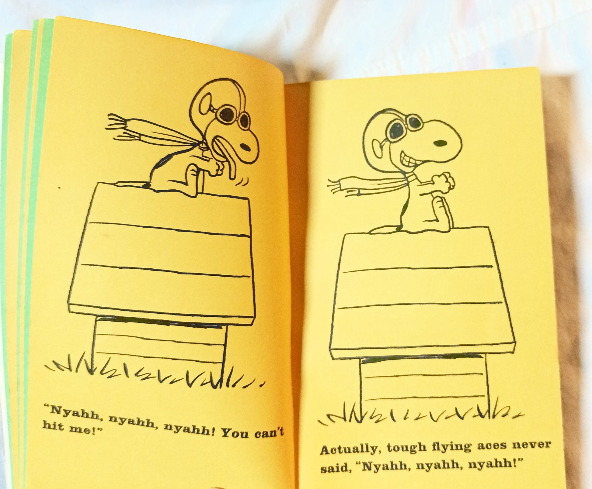 Snoopy And The Red Baron Peanuts Charles M Schulz Fawcett 1969 - TulipStuff