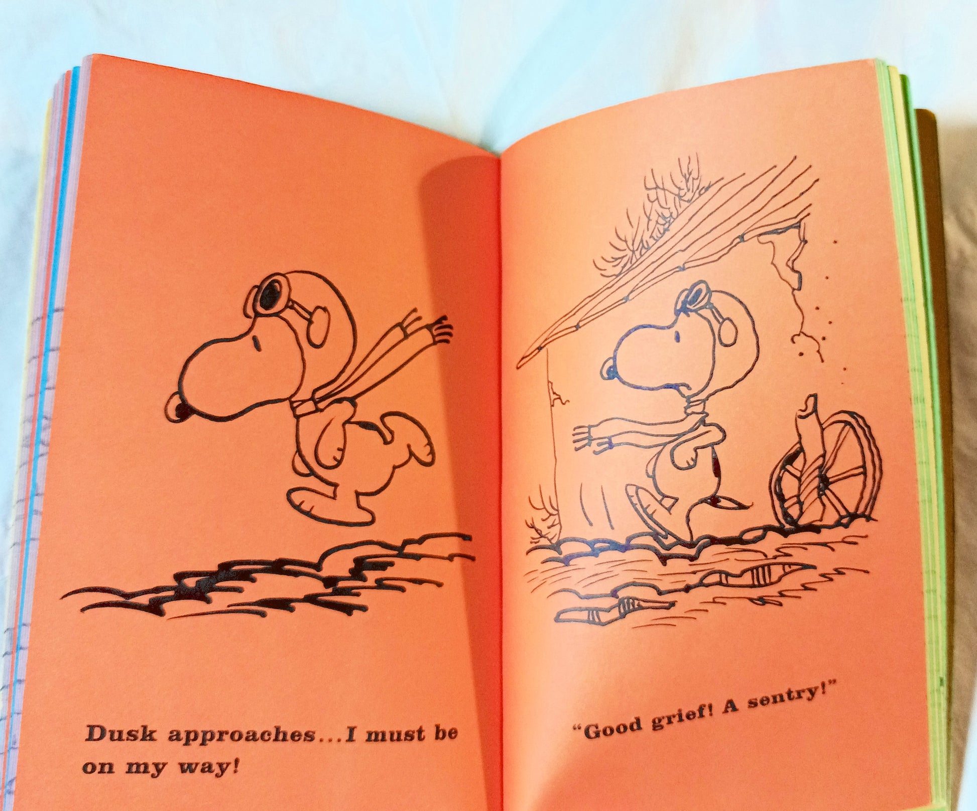 Snoopy And The Red Baron Peanuts Charles M Schulz Fawcett 1969 - TulipStuff
