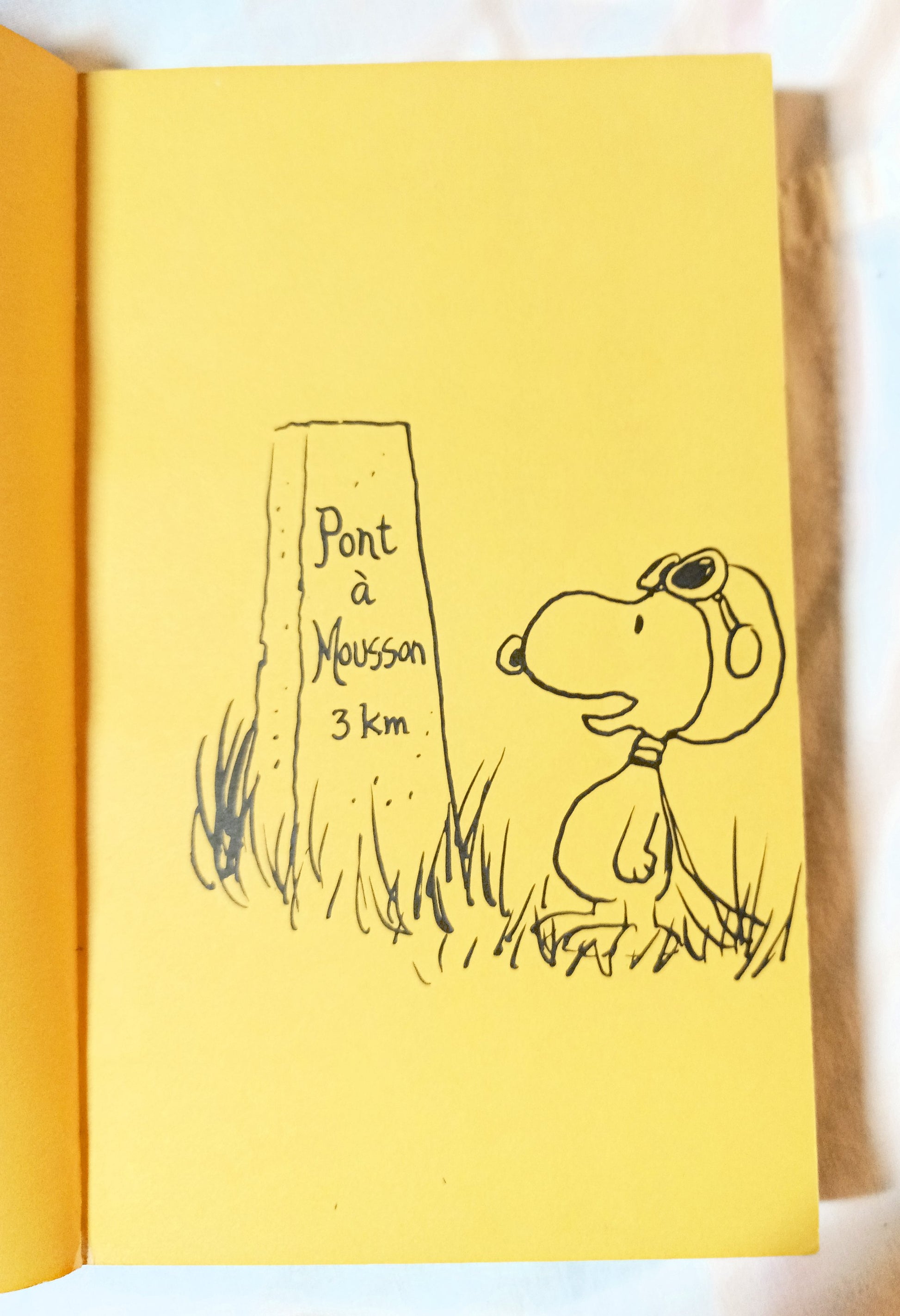 Snoopy And The Red Baron Peanuts Charles M Schulz Fawcett 1969 - TulipStuff