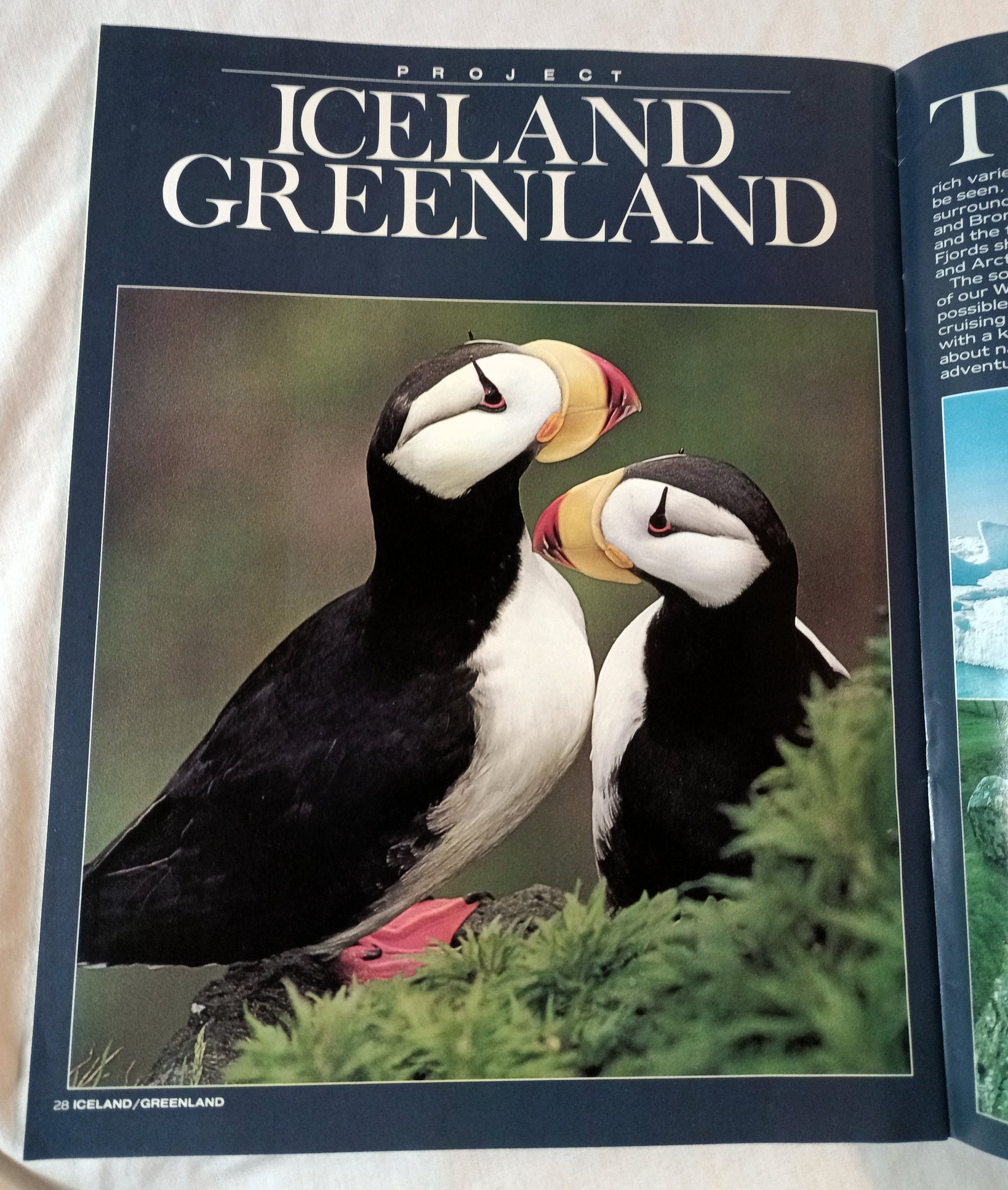 Society Expeditions Cruises ms World Discoverer 1982-83 Brochure - TulipStuff