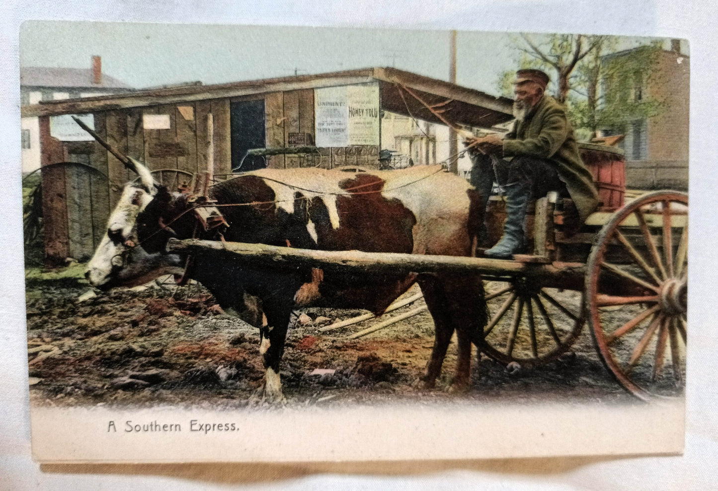 Black Americana A Southern Express Man And Oxen Cart Rotograph 1908 - TulipStuff