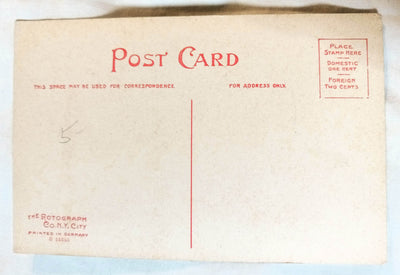 Black Americana A Southern Express Man And Oxen Cart Rotograph 1908 - TulipStuff