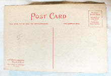 Load image into Gallery viewer, Black Americana A Southern Express Man And Oxen Cart Rotograph 1908 - TulipStuff
